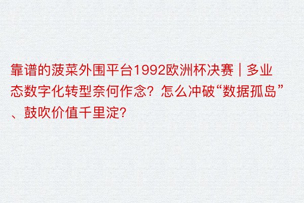 靠谱的菠菜外围平台1992欧洲杯决赛 | 多业态数字化转型奈何作念？怎么冲破“数据孤岛”、鼓吹价值千里淀？